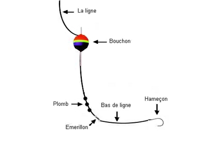 Schéma d'un montage de ligne pour la pêche de la carpe au coup
