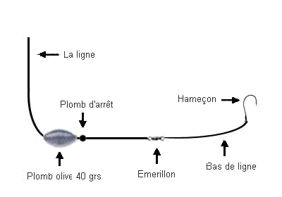 Différents systèmes de montage de plomb pour la carpe